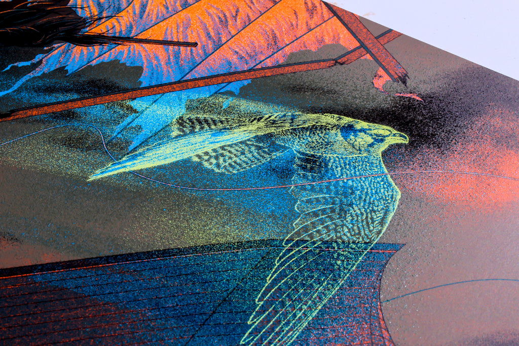Peregrines - Blue Version