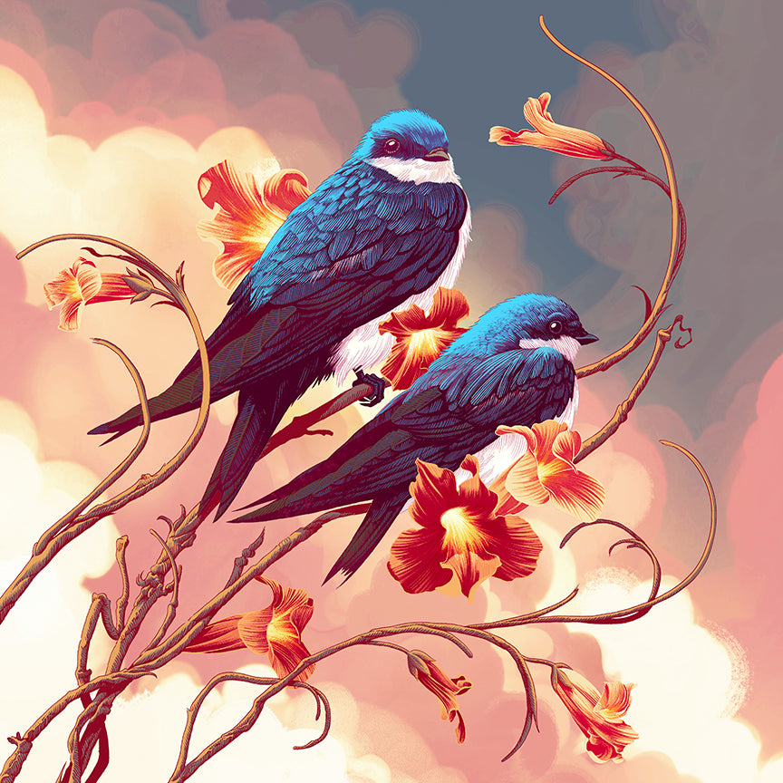 SWALLOWS - Variant Color